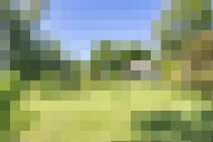 De Wymerts 1 Molkwerum thumbnail 56