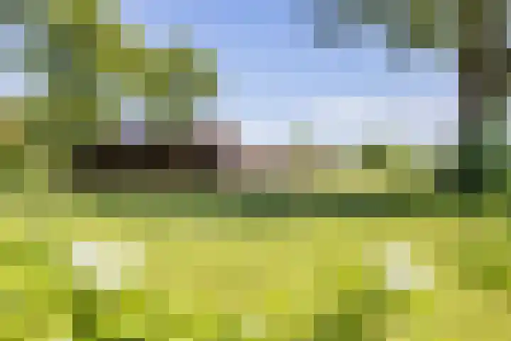 De Wymerts 1 Molkwerum thumbnail 57