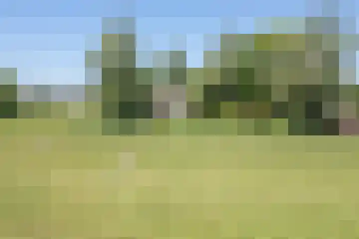 De Wymerts 1 Molkwerum thumbnail 65