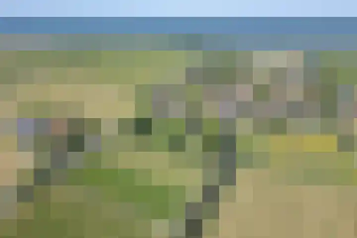 De Wymerts 1 Molkwerum thumbnail 68