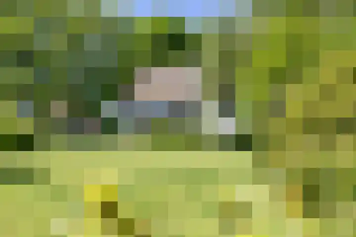 De Wymerts 1 Molkwerum thumbnail 7