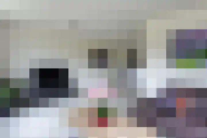 De Wynroas 12 Sexbierum thumbnail 11