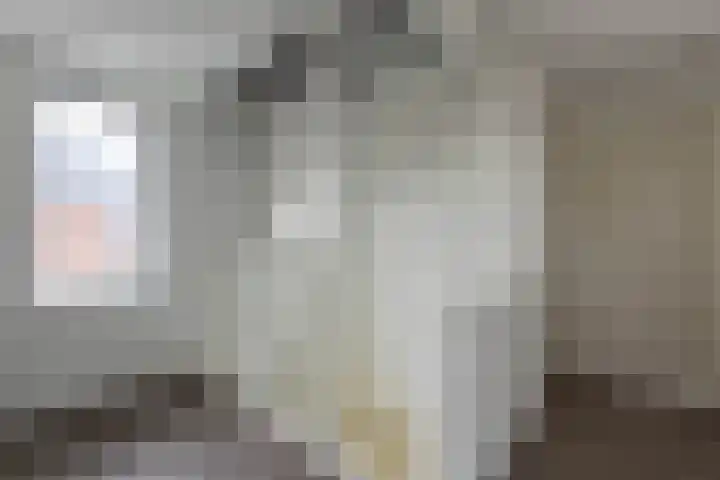 De Wynroas 12 Sexbierum thumbnail 20