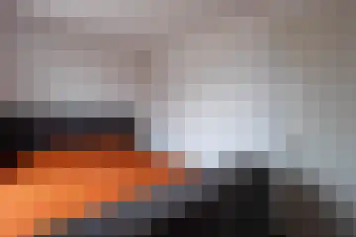 De Wynroas 12 Sexbierum thumbnail 21