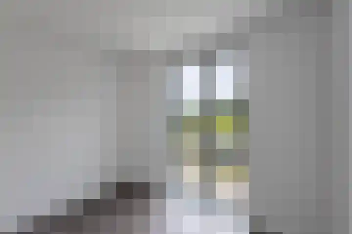 De Wynroas 12 Sexbierum thumbnail 23