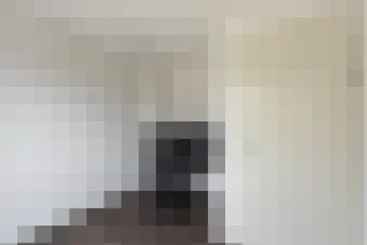 De Wynroas 12 Sexbierum thumbnail 24