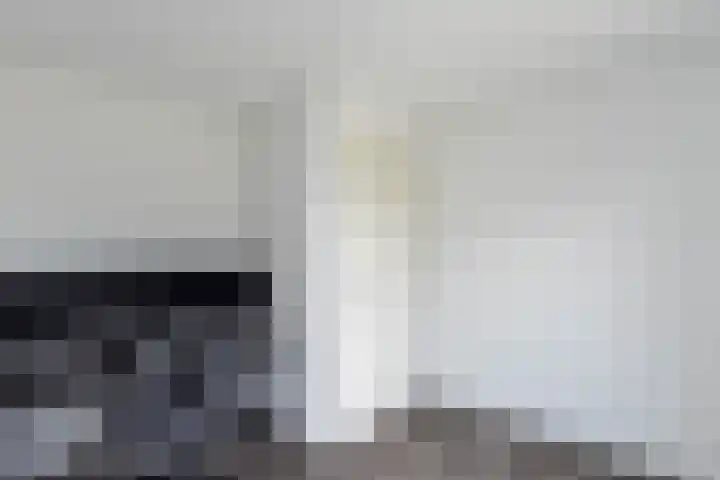 De Wynroas 12 Sexbierum thumbnail 25