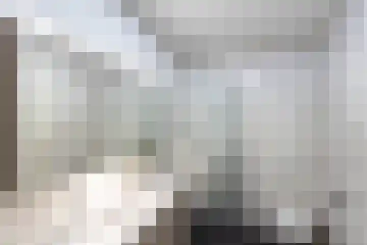 De Wynroas 12 Sexbierum thumbnail 28