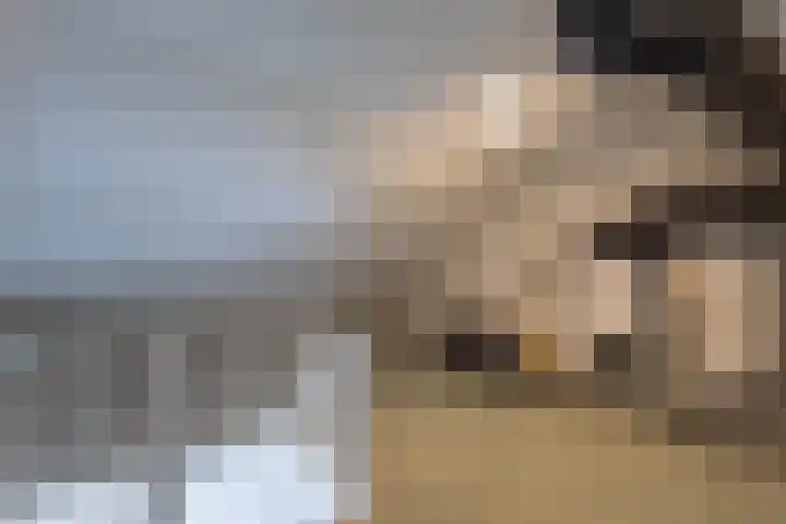 De Wynroas 12 Sexbierum thumbnail 33