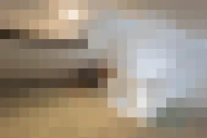 De Wynroas 12 Sexbierum thumbnail 34