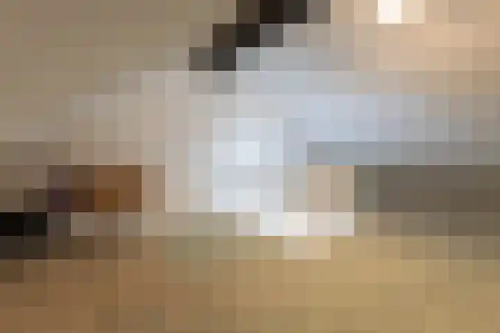 De Wynroas 12 Sexbierum thumbnail 35