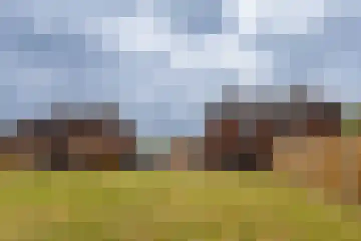 De Wynroas 12 Sexbierum thumbnail 37