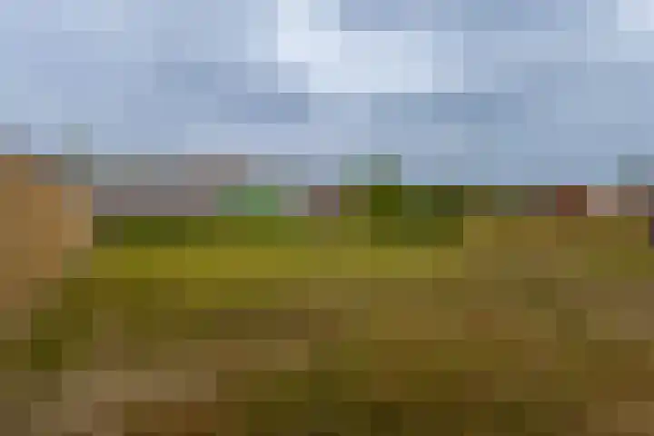 De Wynroas 12 Sexbierum thumbnail 38