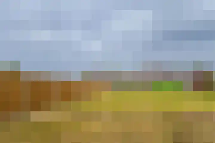 De Wynroas 12 Sexbierum thumbnail 39