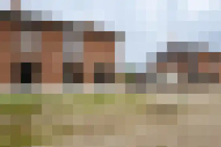 De Wynroas 12 Sexbierum thumbnail 4