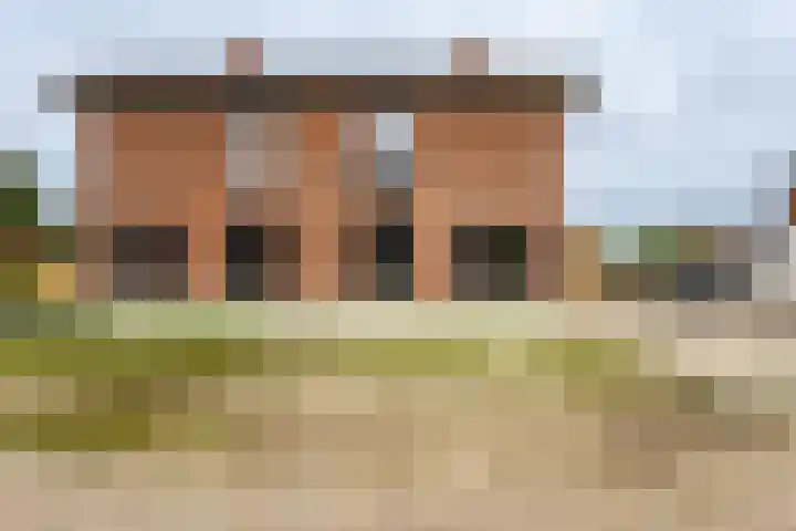 De Wynroas 12 Sexbierum thumbnail 5