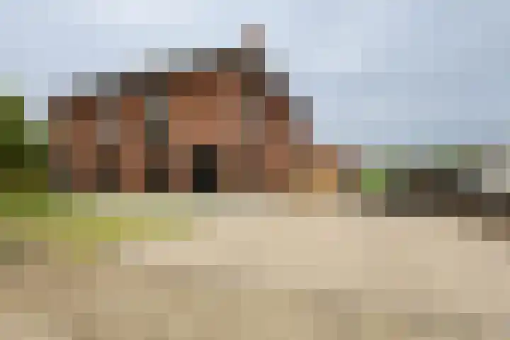 De Wynroas 12 Sexbierum thumbnail 6