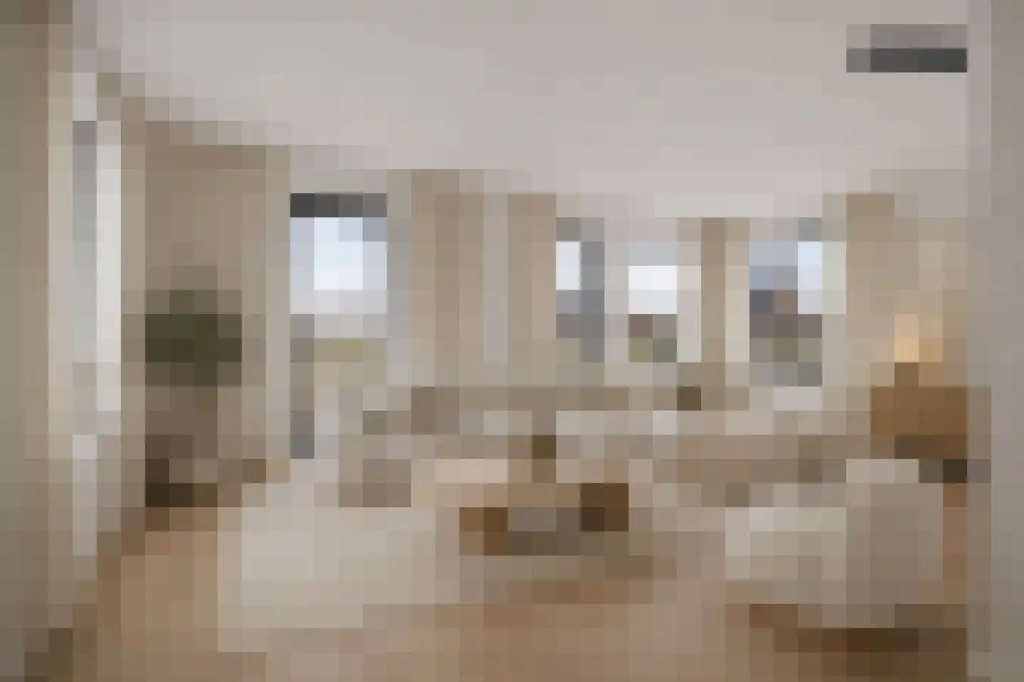 De Wynroas 23 Sexbierum thumbnail 10