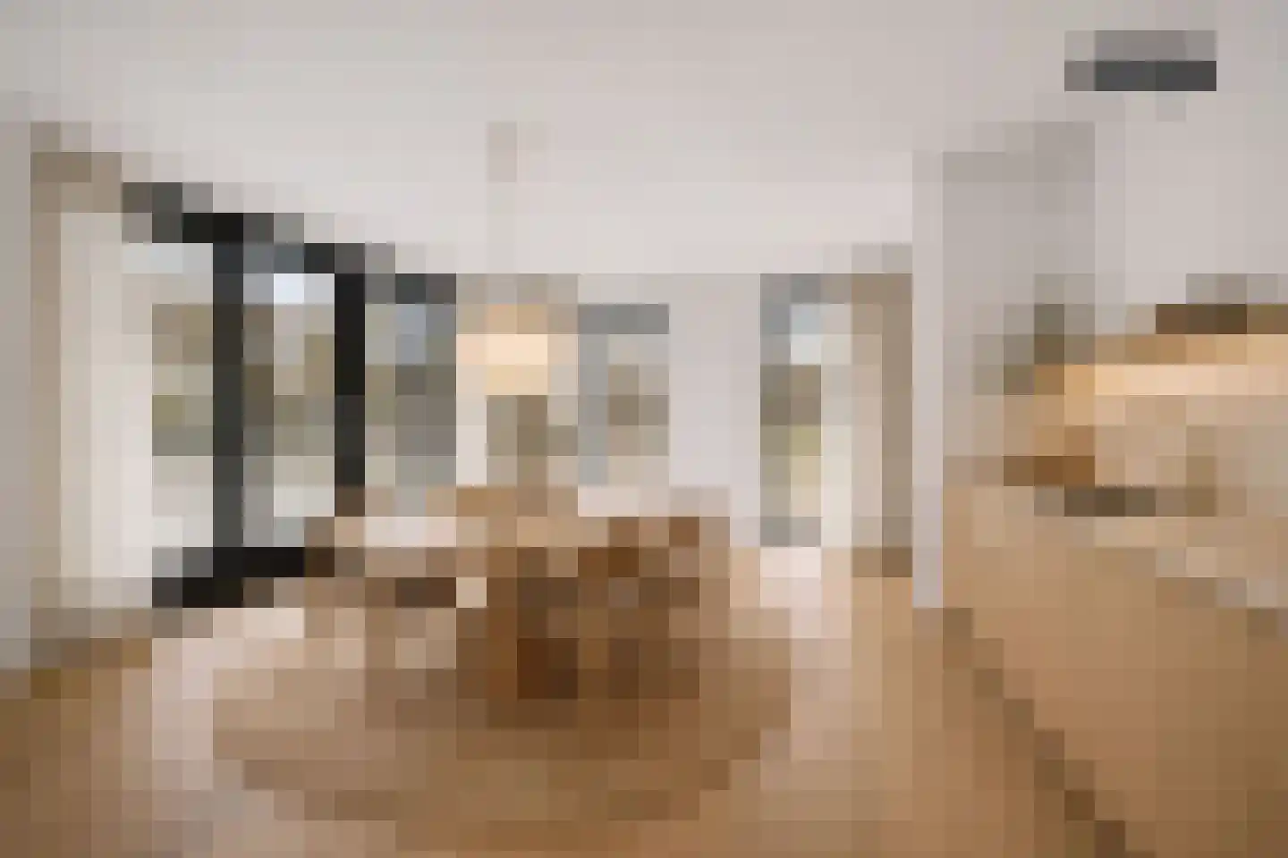 De Wynroas 23 Sexbierum thumbnail 18