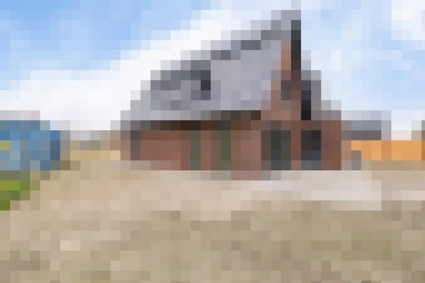 De Wynroas 23 Sexbierum thumbnail 5