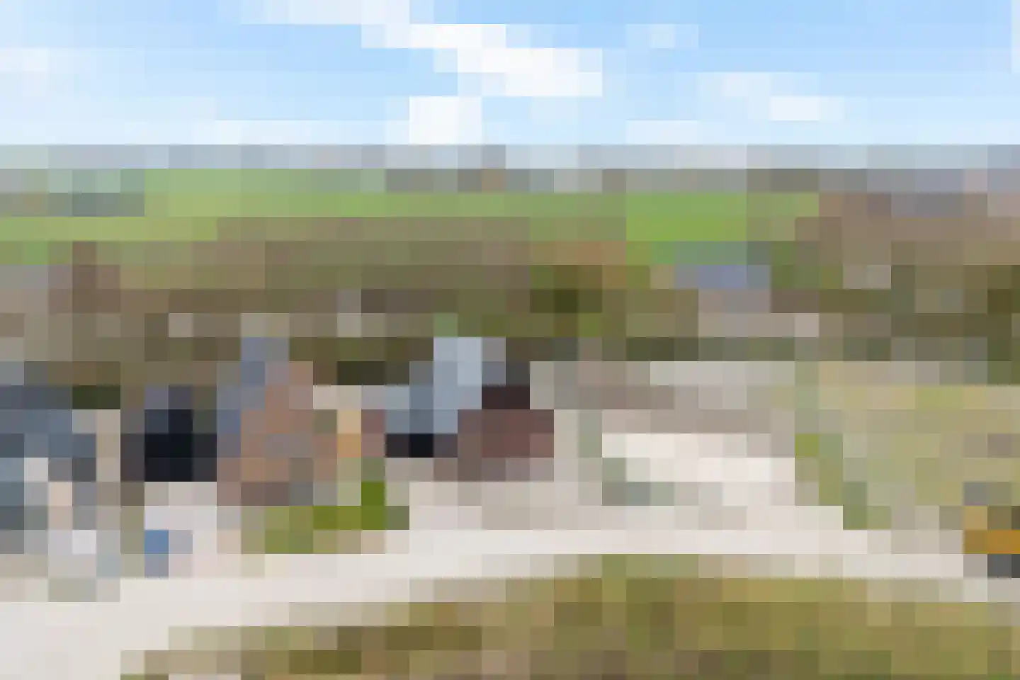 De Wynroas 23 Sexbierum thumbnail 53