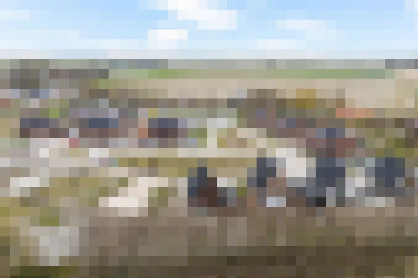 De Wynroas 23 Sexbierum thumbnail 55