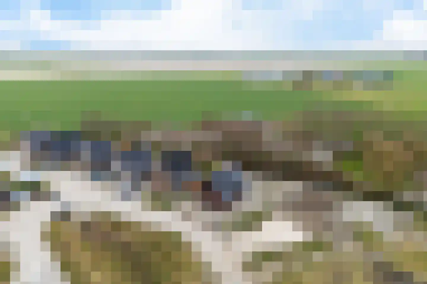 De Wynroas 23 Sexbierum thumbnail 57