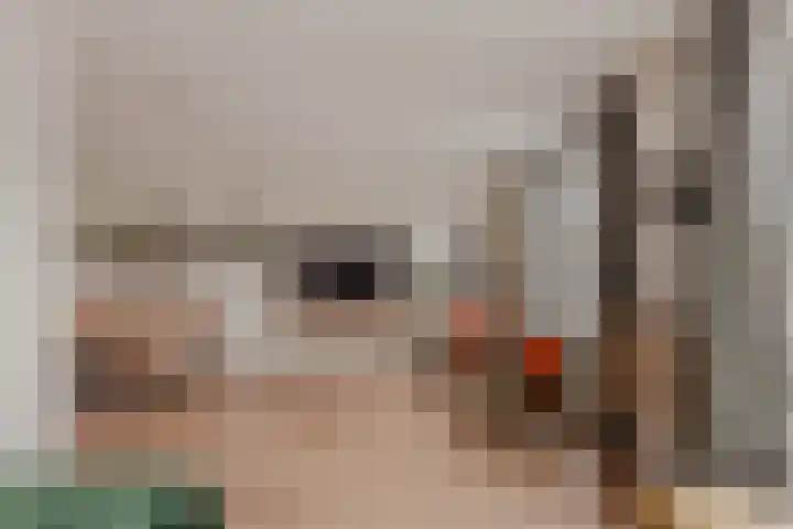 De Wynroas 6 Sexbierum thumbnail 10