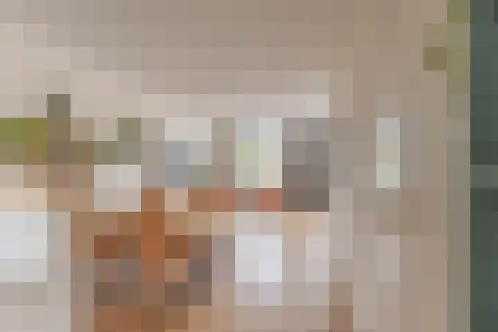 De Wynroas 6 Sexbierum thumbnail 12