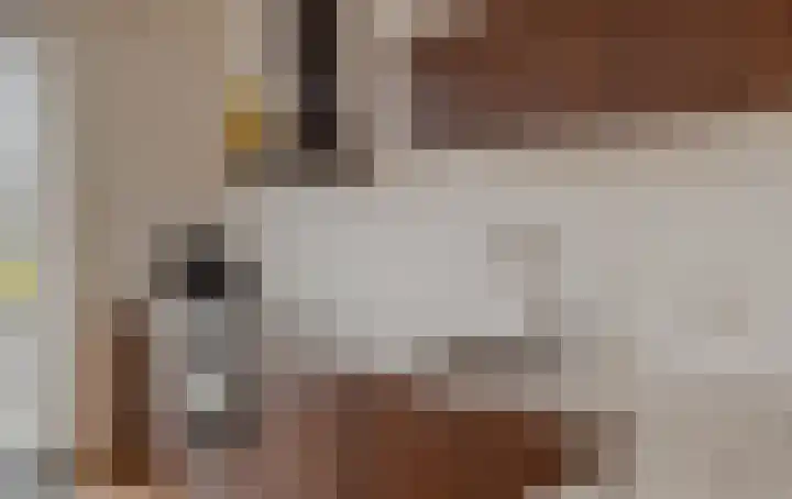 De Wynroas 6 Sexbierum thumbnail 16