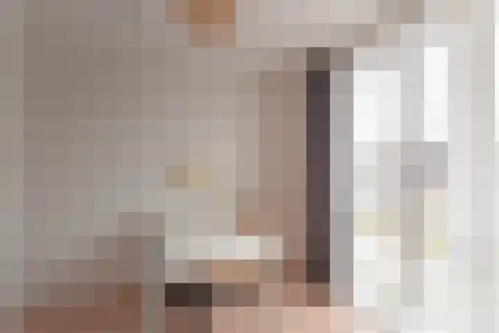 De Wynroas 6 Sexbierum thumbnail 21