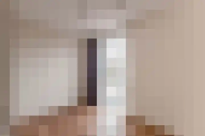 De Wynroas 6 Sexbierum thumbnail 22
