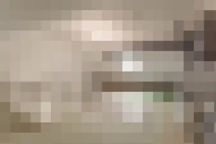 De Wynroas 6 Sexbierum thumbnail 27