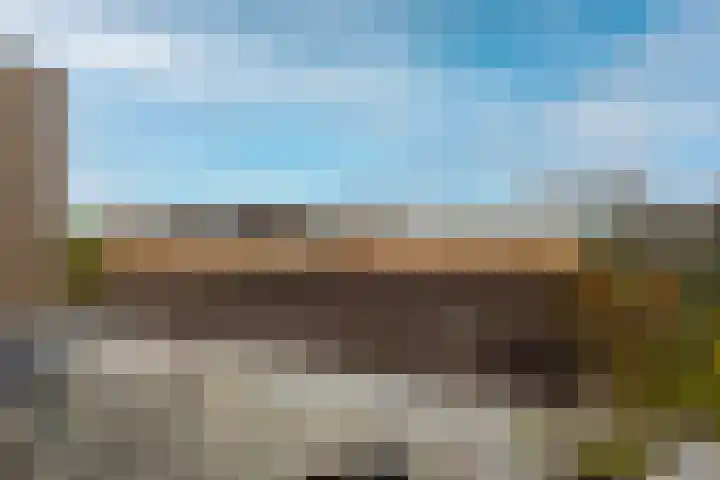De Wynroas 6 Sexbierum thumbnail 29