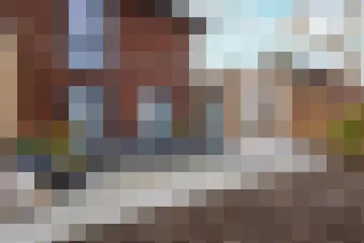 De Wynroas 6 Sexbierum thumbnail 30