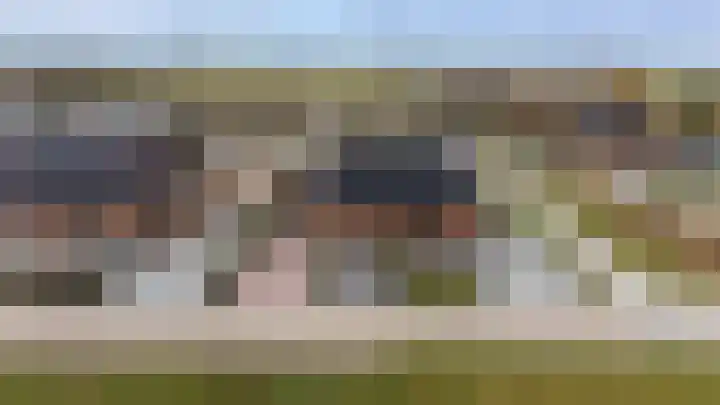 De Wynroas 6 Sexbierum thumbnail 32