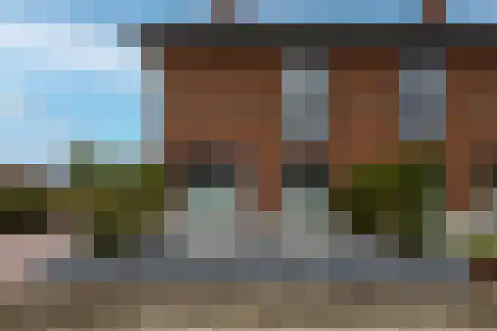 De Wynroas 6 Sexbierum thumbnail 4