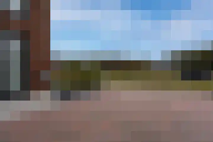 De Wynroas 6 Sexbierum thumbnail 5
