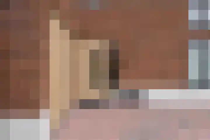 De Wynroas 6 Sexbierum thumbnail 6