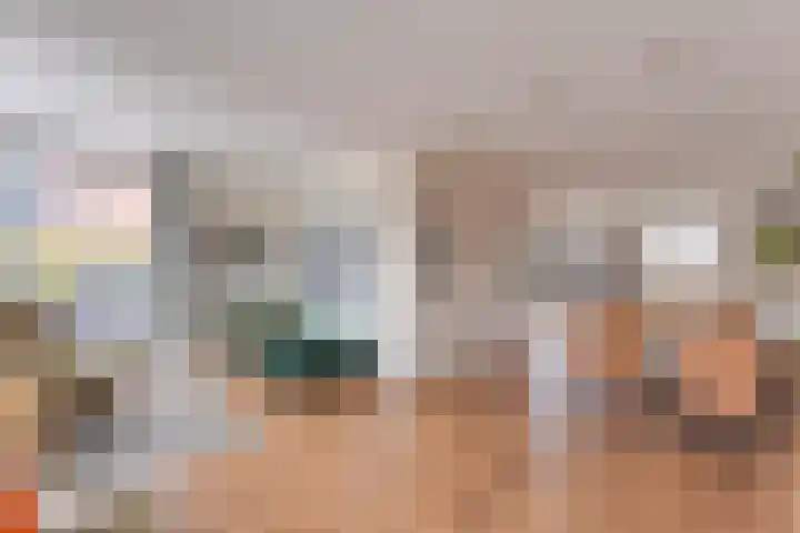De Wynroas 6 Sexbierum thumbnail 9