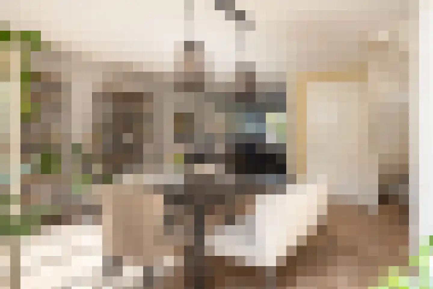De Ymhof 12 Rijssen thumbnail 15