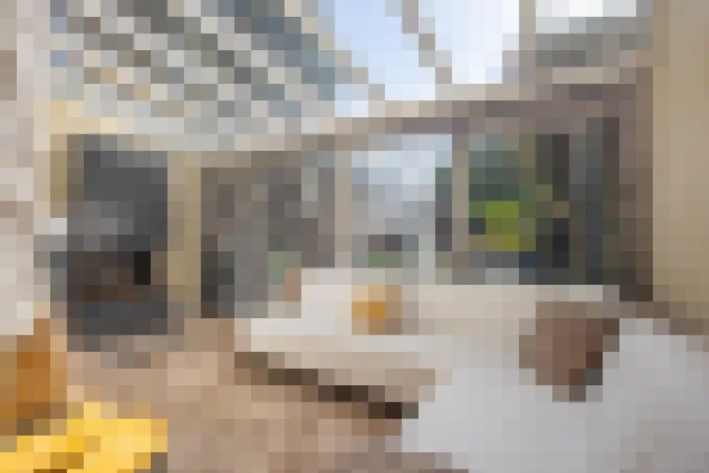 De Ymhof 12 Rijssen thumbnail 17
