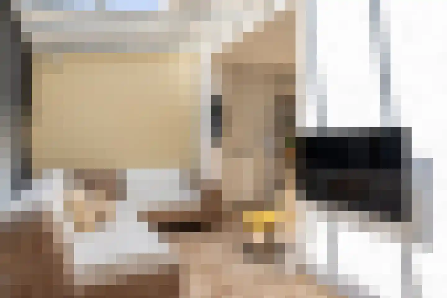 De Ymhof 12 Rijssen thumbnail 19