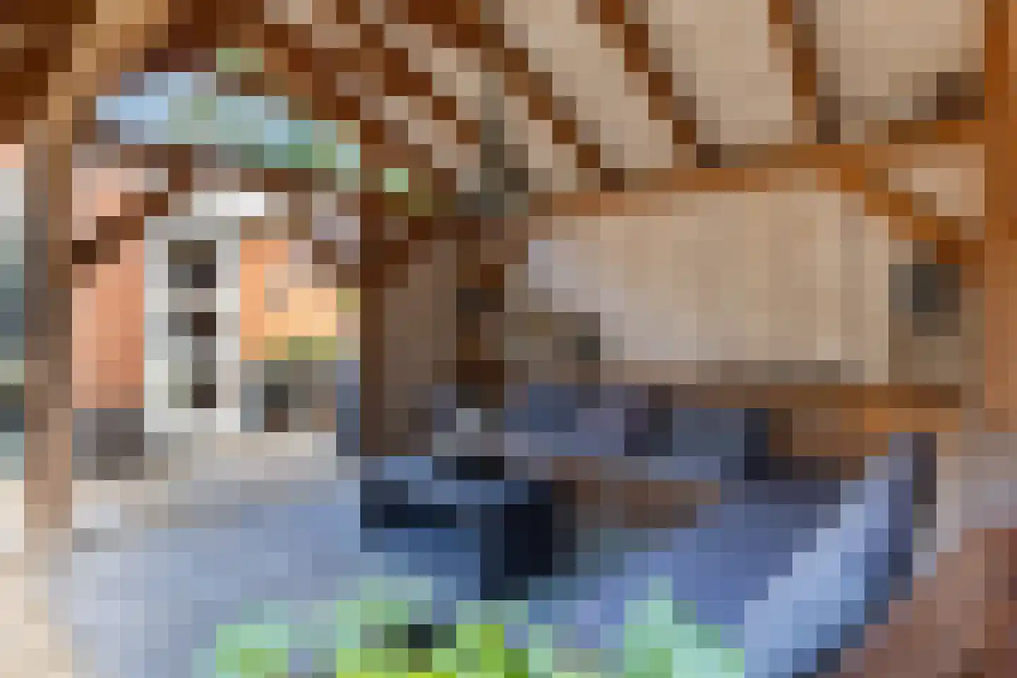 De Ymhof 12 Rijssen thumbnail 39