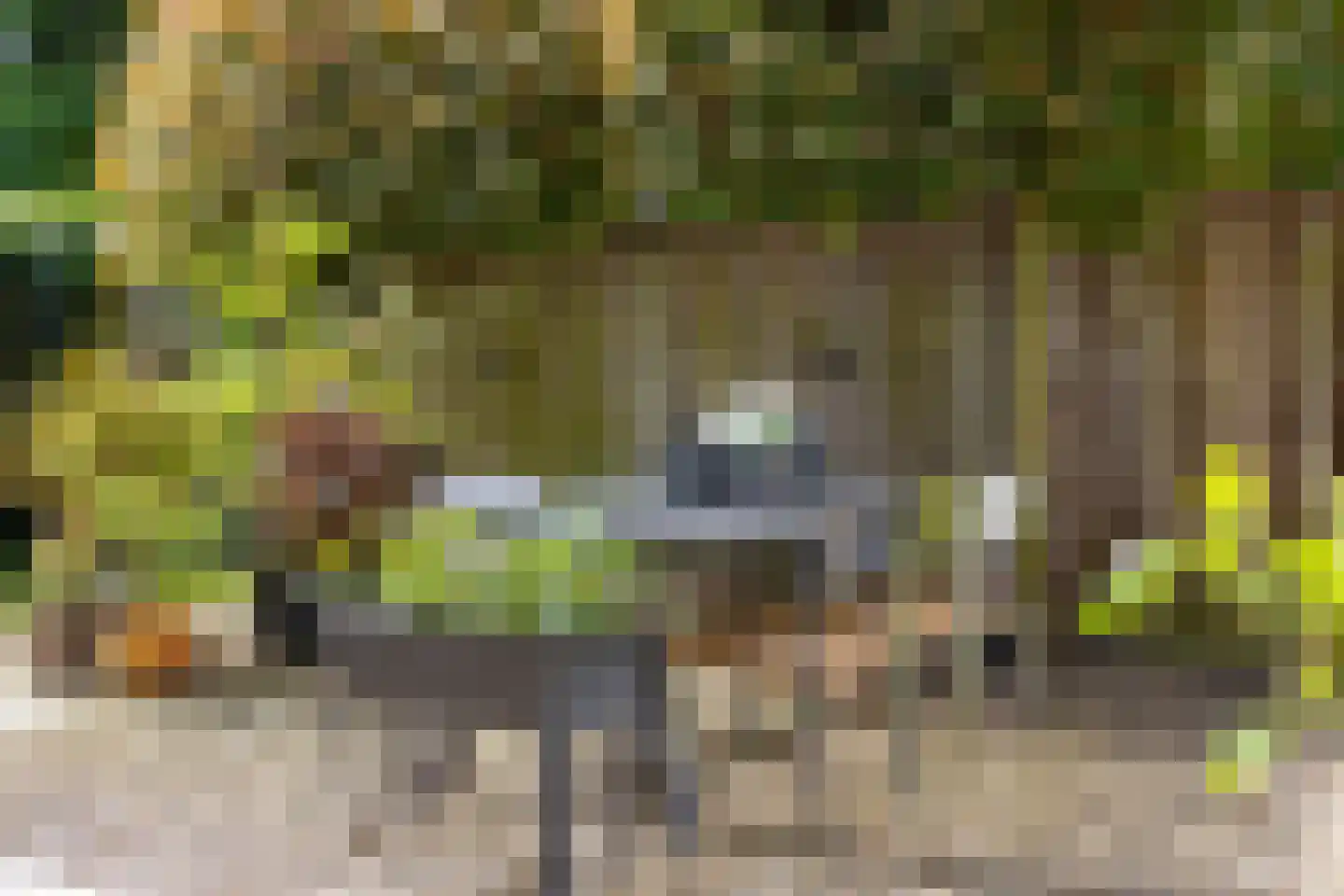 De Ymhof 12 Rijssen thumbnail 41