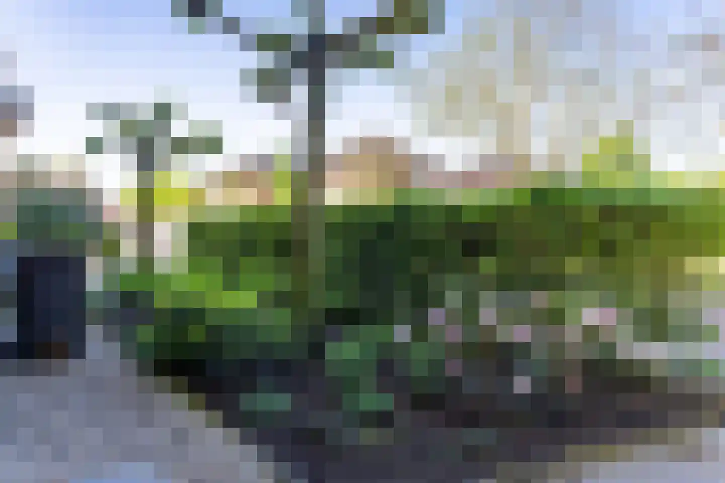 De Ymhof 12 Rijssen thumbnail 47