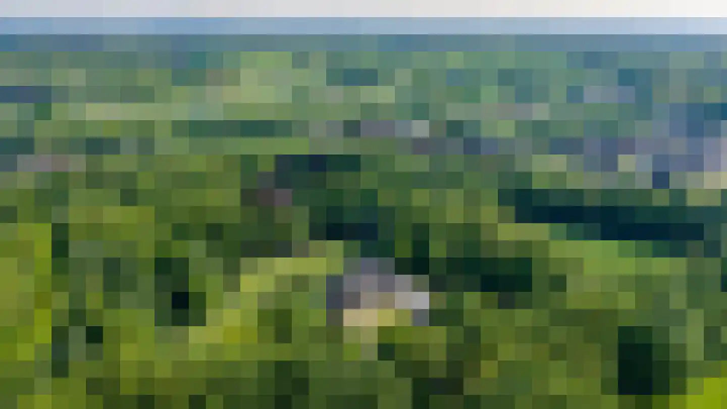De Ymhof 12 Rijssen thumbnail 50