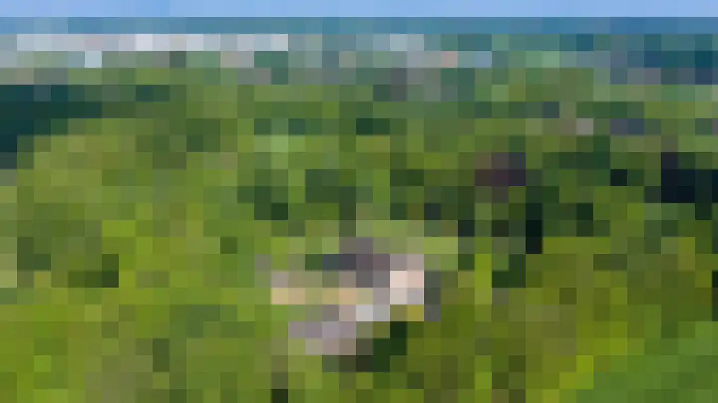De Ymhof 12 Rijssen thumbnail 51