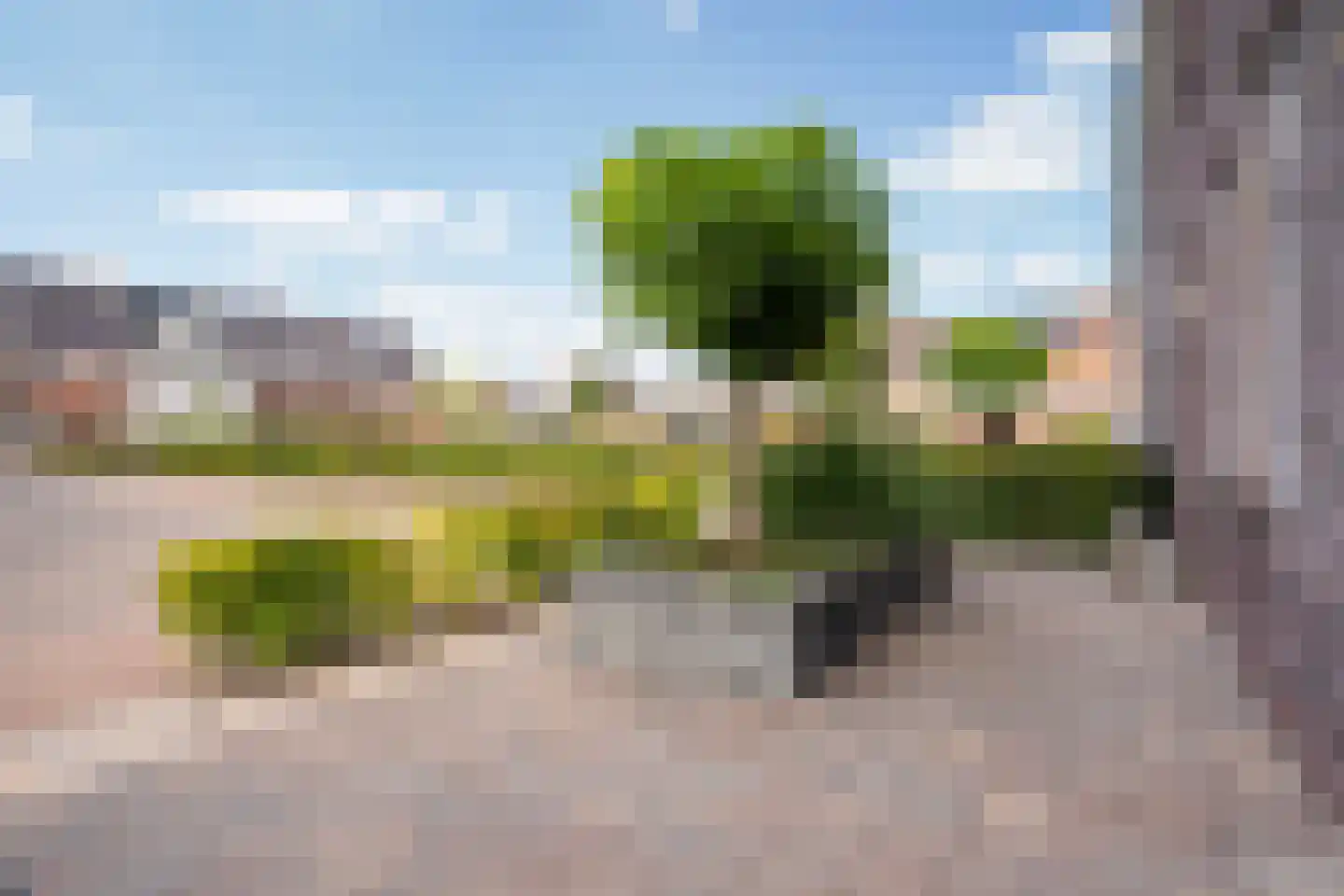 De Ynset 10 Leeuwarden thumbnail 12