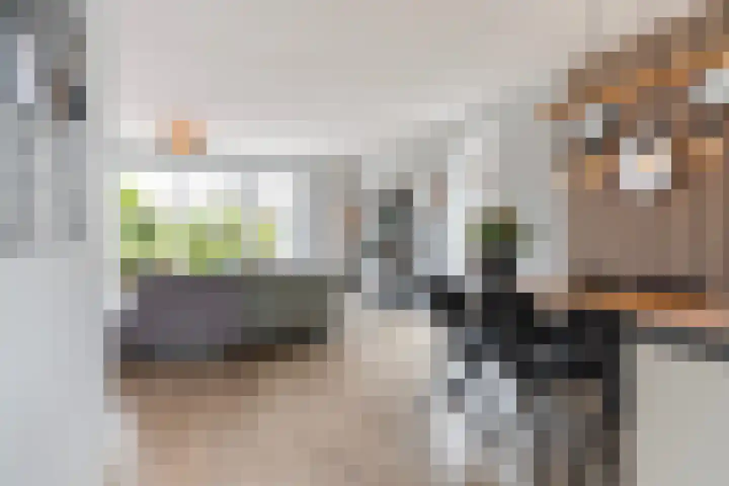 De Ynset 10 Leeuwarden thumbnail 17